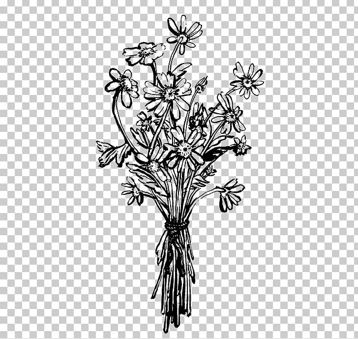 Art PNG, Clipart, Art, Black And White, Branch, Cut Flowers, Drawing Free PNG Download