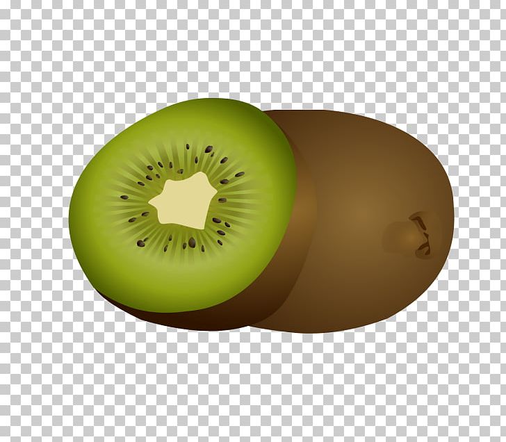 Kiwi Fruit Cartoon Drawing