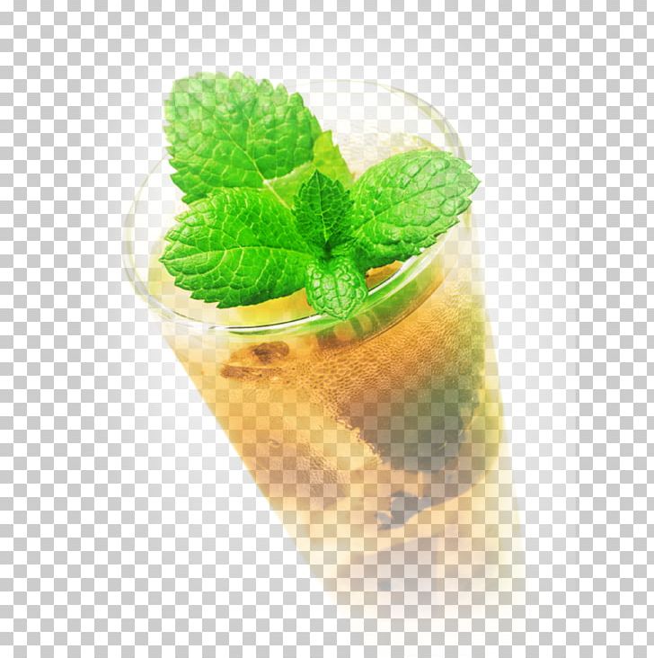 Mojito Mint Julep Cocktail Mai Tai Brandy PNG, Clipart, Brandy, Brandy De Jerez, Carbonated Water, Cocktail, Cocktail Garnish Free PNG Download