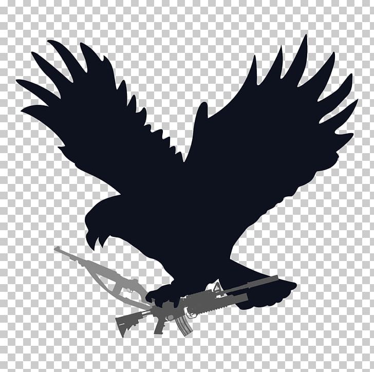 United States Department Of Veterans Affairs United States Department Of Veterans Affairs Book PNG, Clipart, Accipitriformes, Bald Eagle, Beak, Bird, Bird Of Prey Free PNG Download