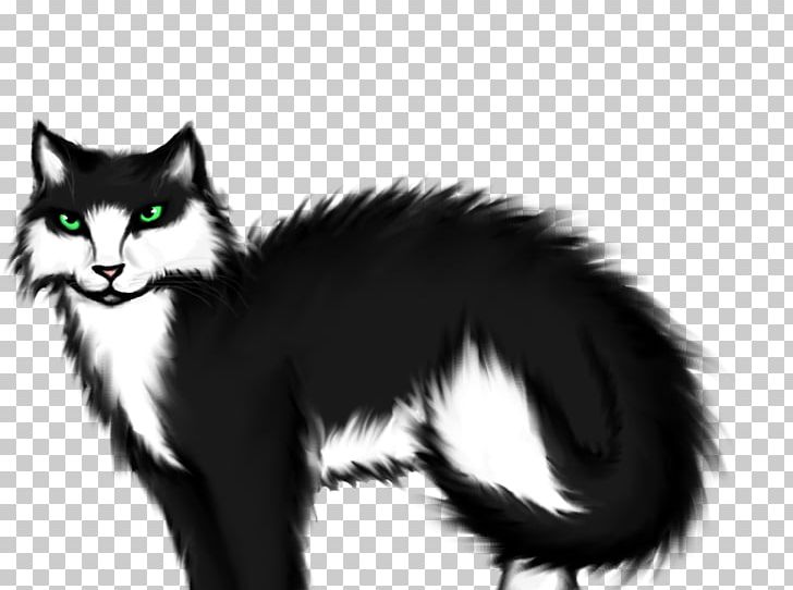 Whiskers Norwegian Forest Cat Kitten Domestic Short-haired Cat Black Cat PNG, Clipart, Animals, Black And White, Black Cat, Carnivoran, Cat Free PNG Download