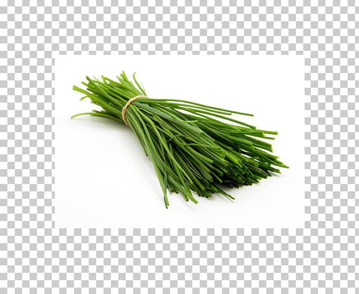 Chives Nutrition Scallion Vegetable PNG, Clipart, Allium, Asparagus, Bunch, Carbohydrate, Chives Free PNG Download