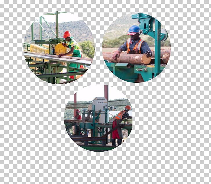 Kwa Thabeng Timbers Lumber Ga-Molepo Sawmill Industry PNG, Clipart, Asc Pty Ltd, Industry, Limpopo, Lumber, Others Free PNG Download
