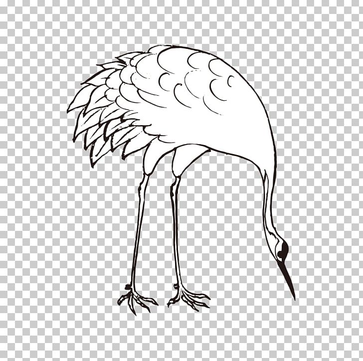 Mute Swan Tundra Swan Bird PNG, Clipart, Animal, Animals, Art, Birds, Black And White Free PNG Download
