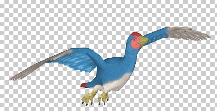 Beak Macaw Feather Wing Seabird PNG, Clipart, Animal, Animal Figure, Animals, Avisaurus, Beak Free PNG Download