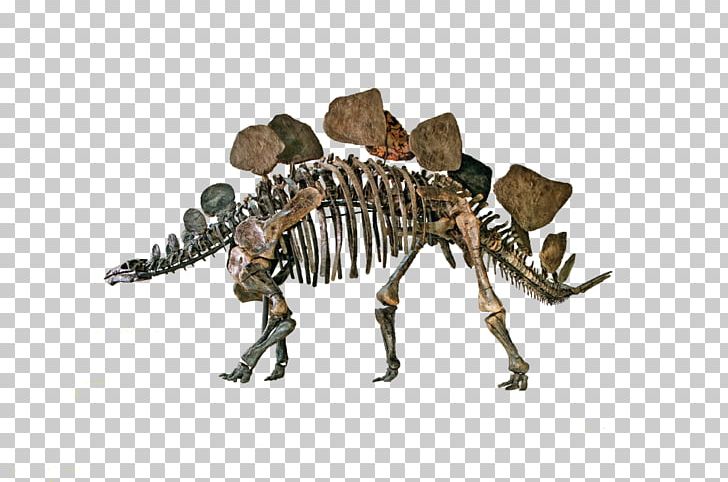 Natural History Museum Of Los Angeles County Stegosaurus Dinosaur La Brea Tar Pits Ankylosaurus PNG, Clipart, Animal Figure, Ankylosaurus, Dinosaur, Fantasy, Geology Free PNG Download