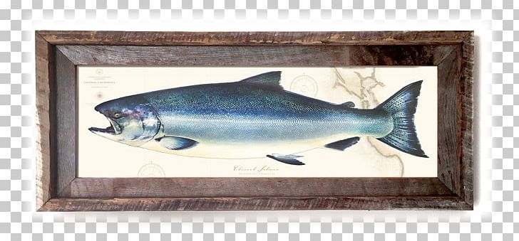 Sardine Fauna PNG, Clipart, Bony Fish, Fauna, Fish, King Salmon, Sardine Free PNG Download