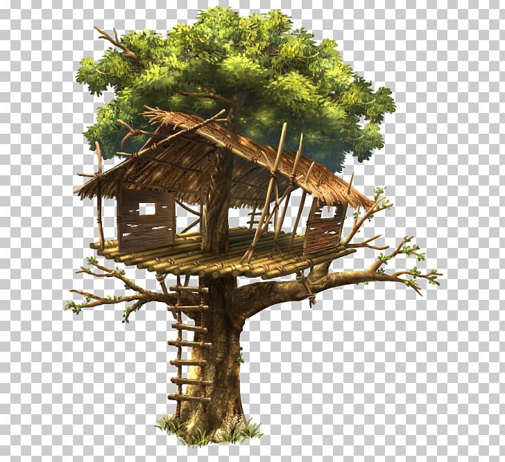 Tree House Branch Wood PNG, Clipart, Branch, Butterfly Kisses, District Heights, Fort, Home Free PNG Download