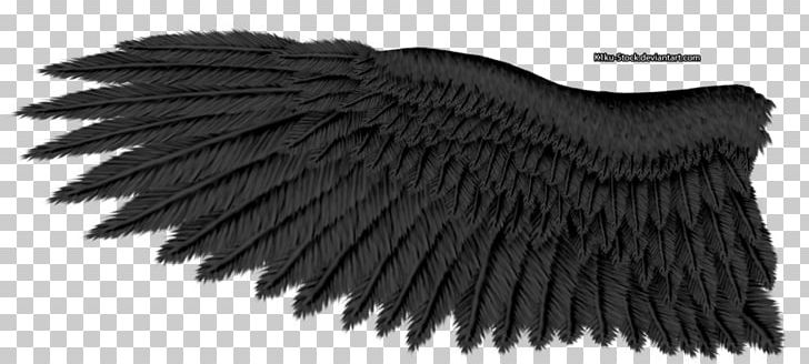 Bald Eagle Eagle Wing Tours Golden Eagle PNG, Clipart, Angel Wings, Animals, Art, Bald Eagle, Bird Free PNG Download