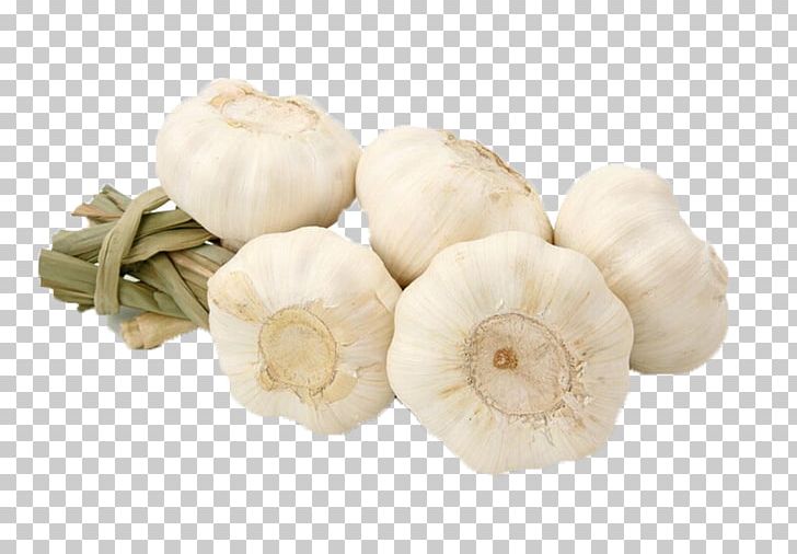 Garlic Food Vegetable Aroma Fruit PNG, Clipart, Allicin, Aroma, Black Garlic, Canning, Cartoon Garlic Free PNG Download