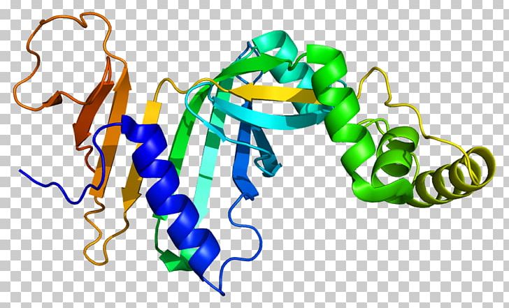 Pyridoxine 5'-phosphate Oxidase Pyridoxal Phosphate PNPO Vitamin B-6 Enzyme PNG, Clipart,  Free PNG Download