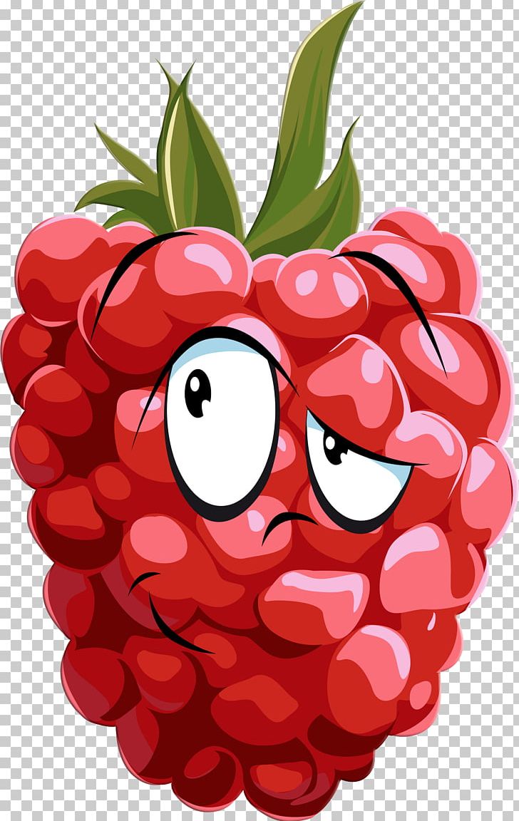 Raspberry Drawing PNG, Clipart, Art, Berry, Blackberry, Cartoon, Drawing Free PNG Download