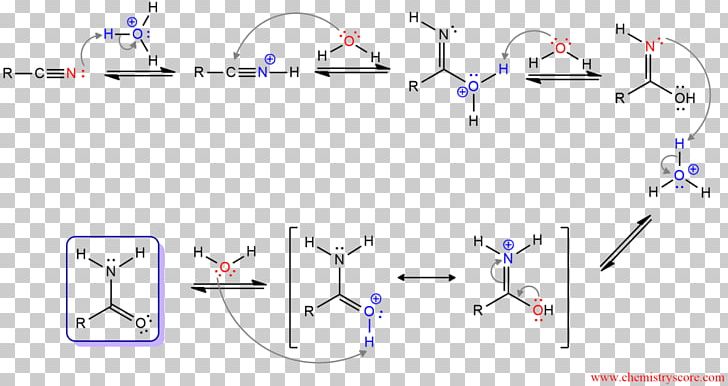 Nitrile Acid Hydrolysis Carboxylic Acid PNG, Clipart, Acid, Acid Catalysis, Acid Hydrolysis, Amide, Angle Free PNG Download