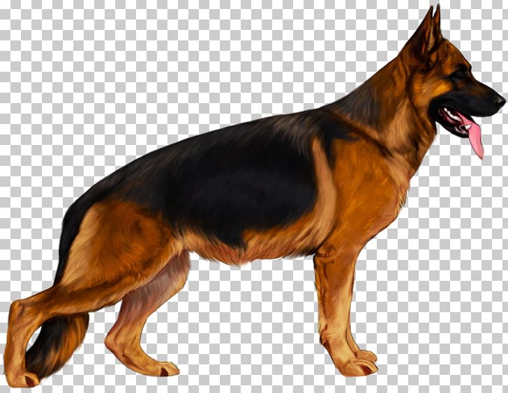 Old German Shepherd Dog Black And Tan Coonhound King Shepherd English Toy Terrier PNG, Clipart, Animal, Black And Tan Coonhound, Breed, Canidae, Carnivoran Free PNG Download