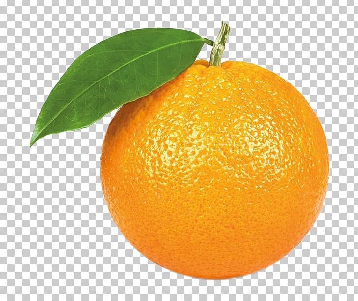 Orange Juice Citrus × Sinensis Stock Photography Mandarin Orange PNG, Clipart, Bitter Orange, Calamondin, Chenpi, Citric Acid, Citron Free PNG Download