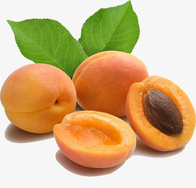 Apricot PNG, Clipart, Apricot, Apricot Clipart, Food, Fruit, Yellow Free PNG Download