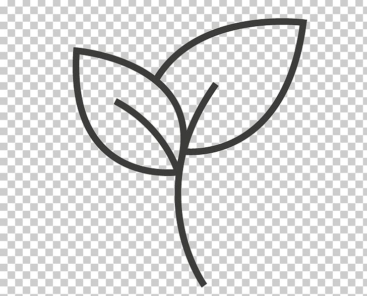 Plant Stem Leaf Flower Line PNG, Clipart, Area, Black, Black And White, Branch, Branching Free PNG Download