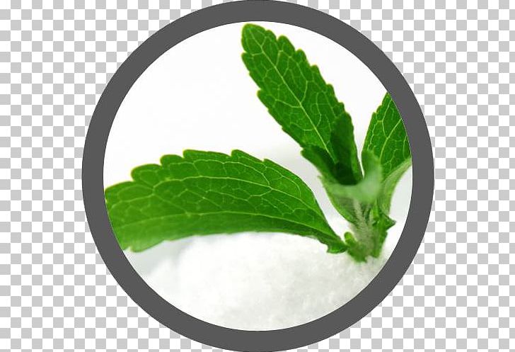 Stevia Candyleaf Extract Sugar Substitute Food PNG, Clipart, Calorie, Dietary Supplement, Dini, Elintarvike, Extract Free PNG Download