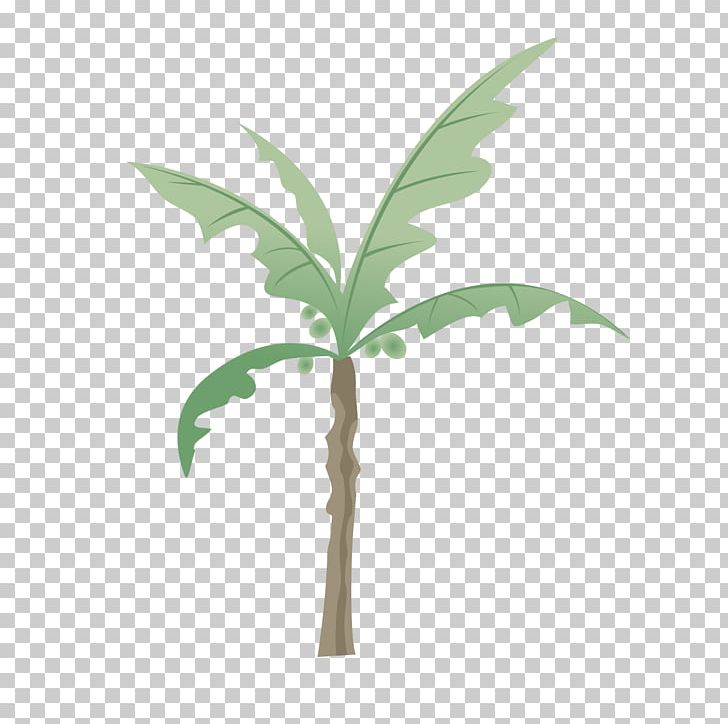 Branch Tree Coconut PNG, Clipart, Arecaceae, Branch, Christmas Tree, Coconut, Coconut Tree Free PNG Download