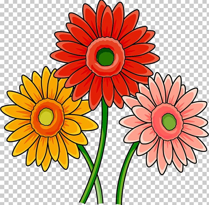 Transvaal Daisy Cut Flowers Food Chrysanthemum Floral Design PNG, Clipart, Chrysanthemum, Cut Flowers, Dahlia, Daisy, Daisy Family Free PNG Download