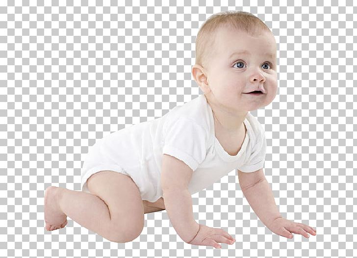 Infant Child Crawling PNG, Clipart, Arm, Babies, Baby, Baby Animals, Baby Announcement Free PNG Download