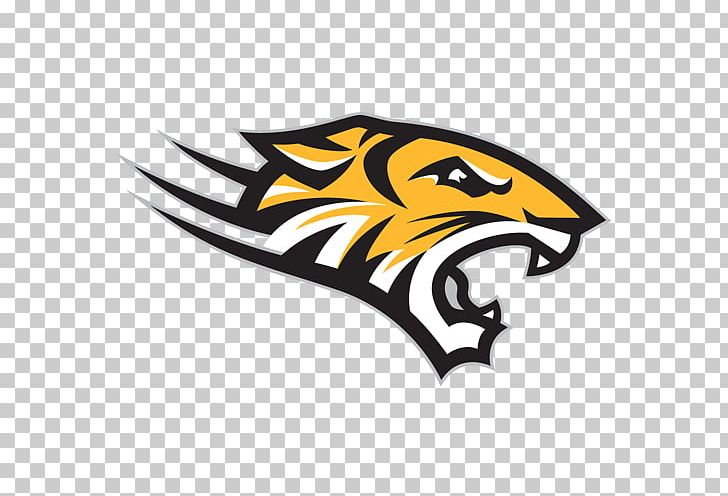 Towson University Towson Tigers Football Towson Tigers Men's Basketball Sport PNG, Clipart, Bask, Beak, Bird, Carnivoran, College Free PNG Download