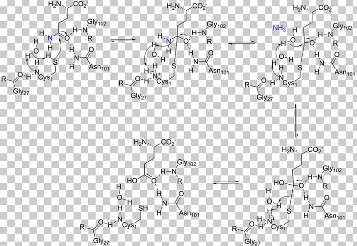 Amidophosphoribosyltransferase Glutamine Amidotransferase Glutaminase Phosphoribosyl Pyrophosphate Purine Metabolism PNG, Clipart, Amidophosphoribosyltransferase, Angle, Catalysis, Chemical Reaction, Cysteine Free PNG Download