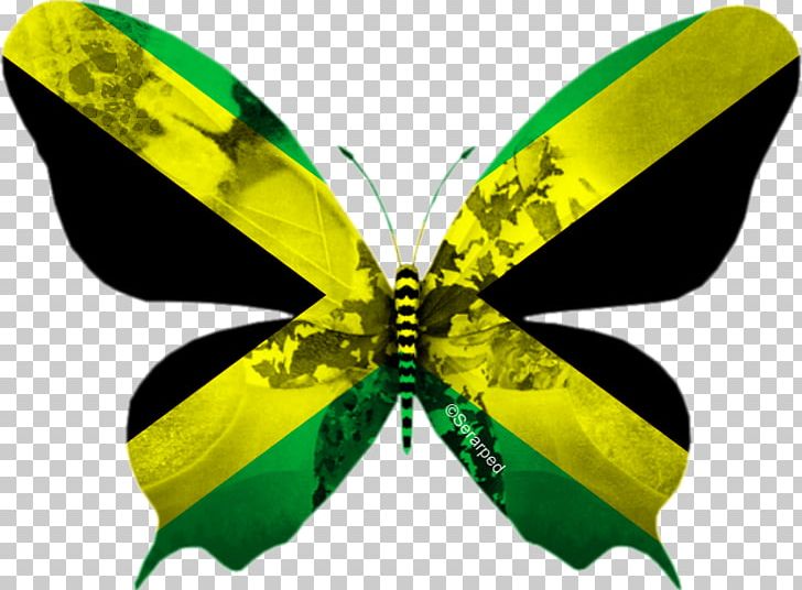 Flag Of Jamaica National Emblem Croatia: Mižerja PNG, Clipart, Arthropod, Brush Footed Butterfly, Butterfly, English, Eurovision Song Contest Free PNG Download