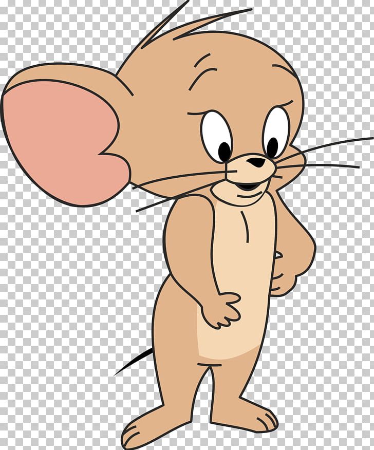 Whiskers Tom And Jerry Cartoon PNG, Clipart, B52, Carnivoran ...