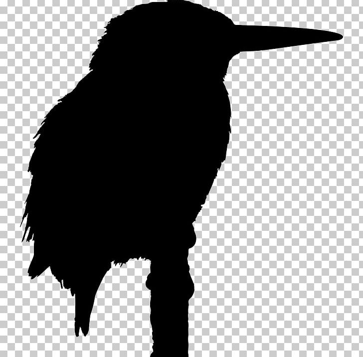 Big Bird Silhouette Kingfisher PNG, Clipart, Animals, Beak, Belted Kingfisher, Big Bird, Bird Free PNG Download