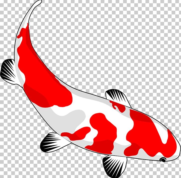 Koi Goldfish Drawing PNG, Clipart, Asian Culture, Asian Culture Pictures, Carp, Clip Art, Common Carp Free PNG Download