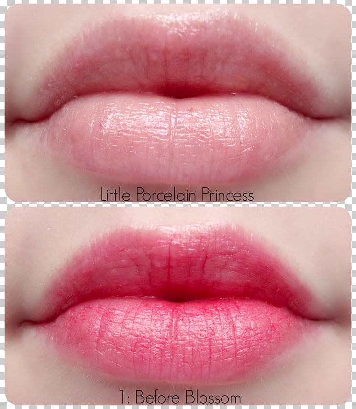Lip Balm Lip Gloss Lipstick Lip Stain PNG, Clipart, Cheek, Cosmetics, Lip, Lip Balm, Lip Gloss Free PNG Download
