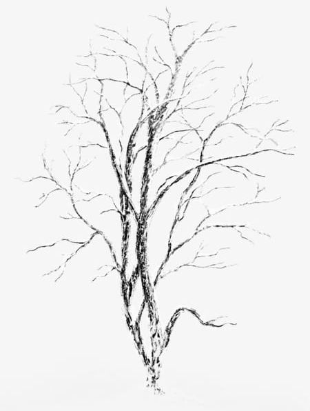 Snow-covered Trees PNG, Clipart, Cover, Snow, Snow Covered Clipart, Trees, Trees Clipart Free PNG Download