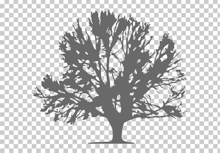 Twig Tree Desktop Computer Icons PNG, Clipart, Black And White, Black Wood, Branch, Computer Icons, Desktop Wallpaper Free PNG Download