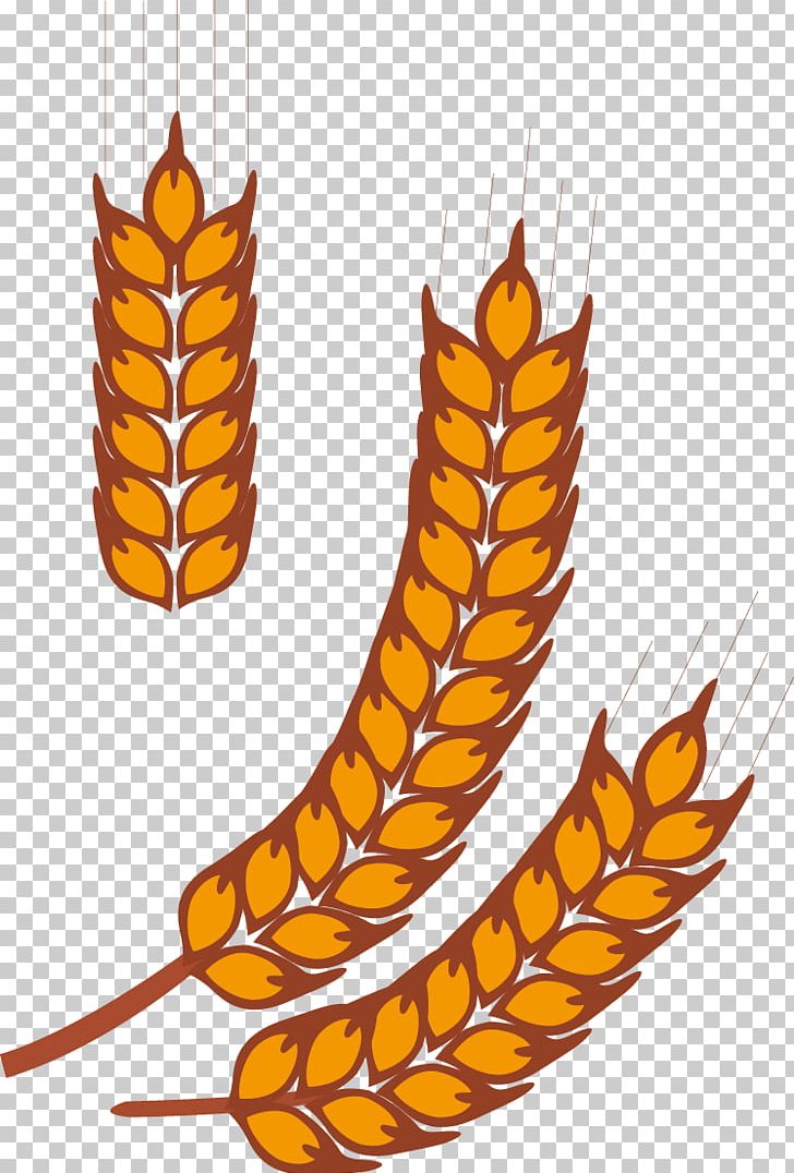 Rice Gadu Paddy Field Gratis PNG, Clipart, Barley, Brown Rice, Cereal, Commodity, Download Free PNG Download