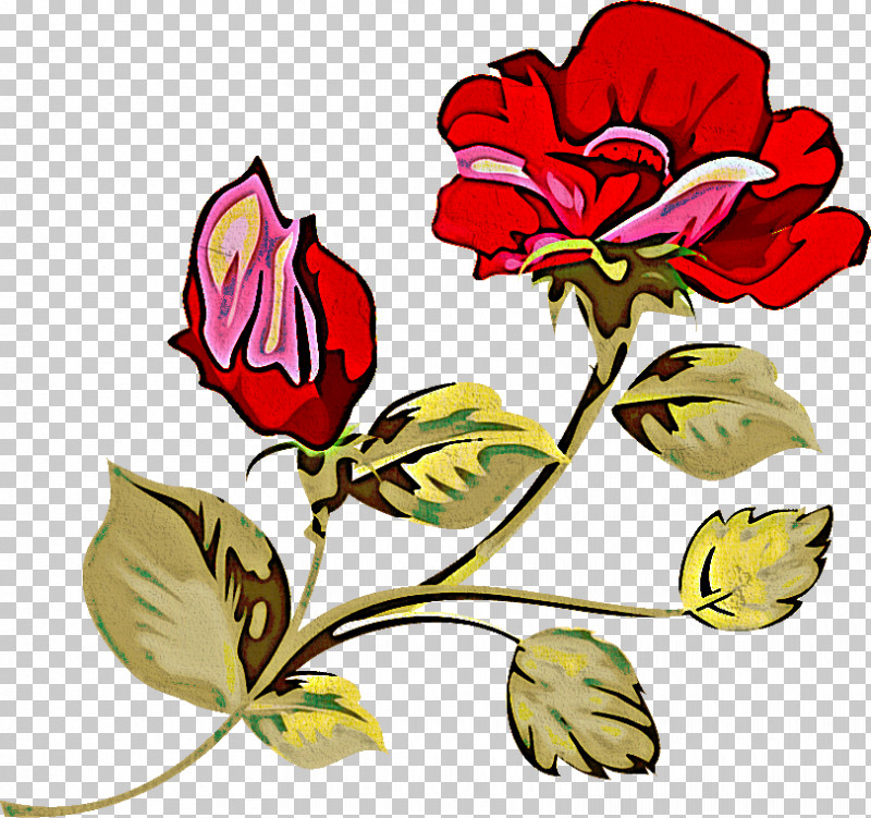 Two Flowers Two Roses Valentines Day PNG, Clipart, Bud, Common Peony, Cut Flowers, Flower, Pedicel Free PNG Download