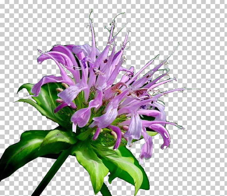 Floral Design Cut Flowers Flower Bouquet Artificial Flower PNG, Clipart, Artificial Flower, Cut Flowers, Empire State Buildin, Floristry, Flower Free PNG Download