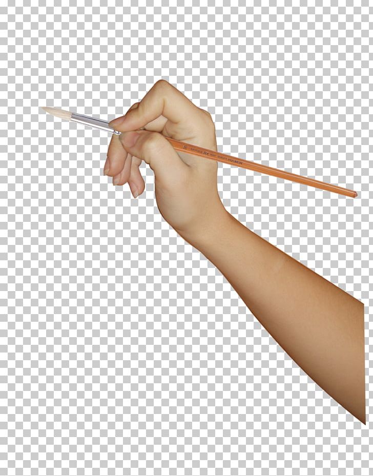 Thumb Upper Limb Hand Arm PNG, Clipart, Arm, Brush, Chopsticks, Cutlery, Finger Free PNG Download