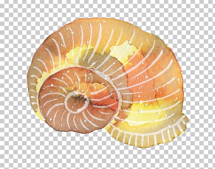 Watercolor Painting PNG, Clipart, Animals, Cartoon, Cartoon Animals, Cartoon Conch, Clothing Free PNG Download