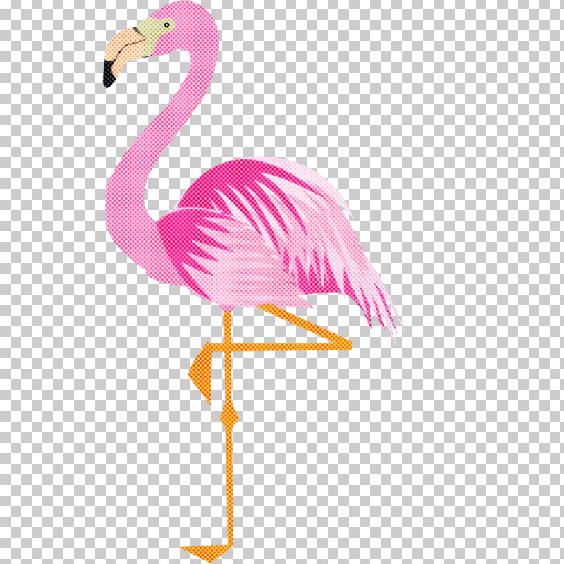 Flamingo PNG, Clipart, Beak, Bird, Feather, Flamingo, Greater Flamingo Free PNG Download