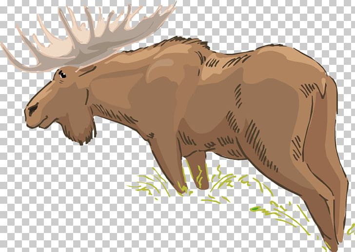 Cattle Moose Bear Horse Wildlife PNG, Clipart, Animal, Animals, Bear, Carnivoran, Cartoon Free PNG Download