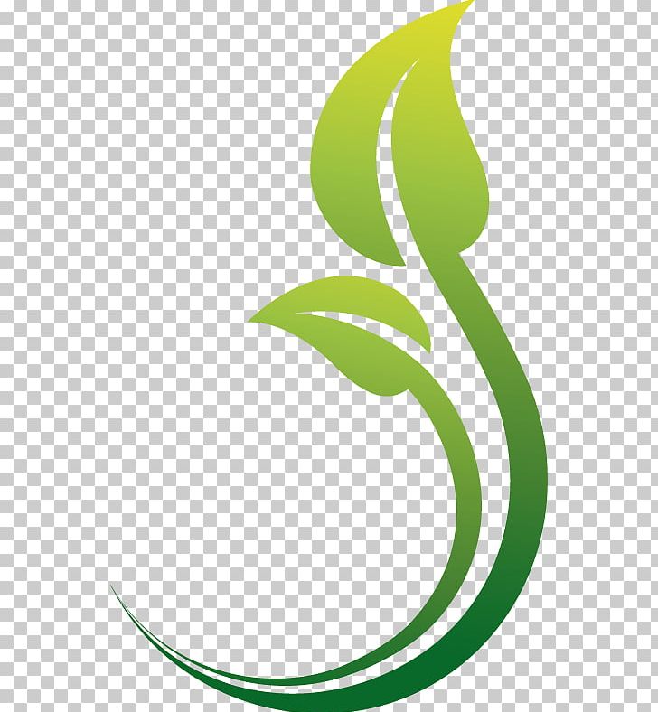 Green Leaf Logo png download - 1410*1350 - Free Transparent Herbal Center  png Download. - CleanPNG / KissPNG