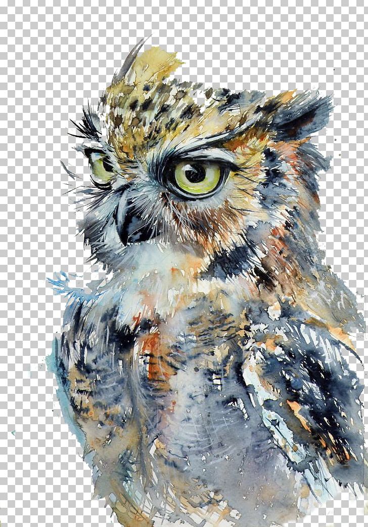 Owl Watercolor Painting Drawing Art PNG, Clipart, Animals, Art, Artist, Beak, Bird Free PNG Download