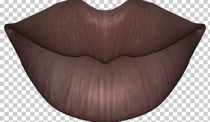PhotoScape Lip GIMP Anatomy PNG, Clipart, Anatomy, Angle, Blog, Brown, Gimp Free PNG Download
