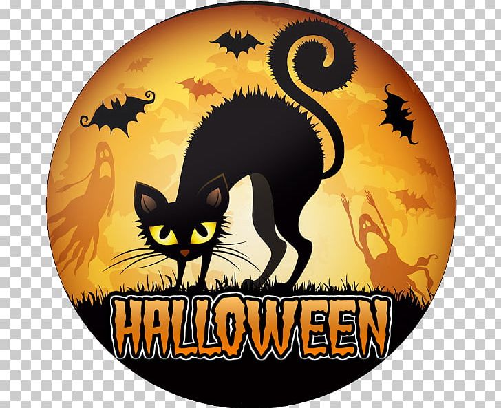 Black Cat Halloween Kitten Costume PNG, Clipart,  Free PNG Download