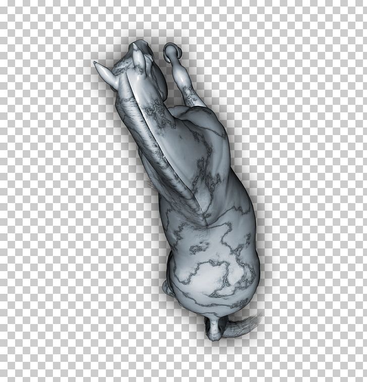 Finger Organism PNG, Clipart, Arm, Art, Finger, Hand, Joint Free PNG Download