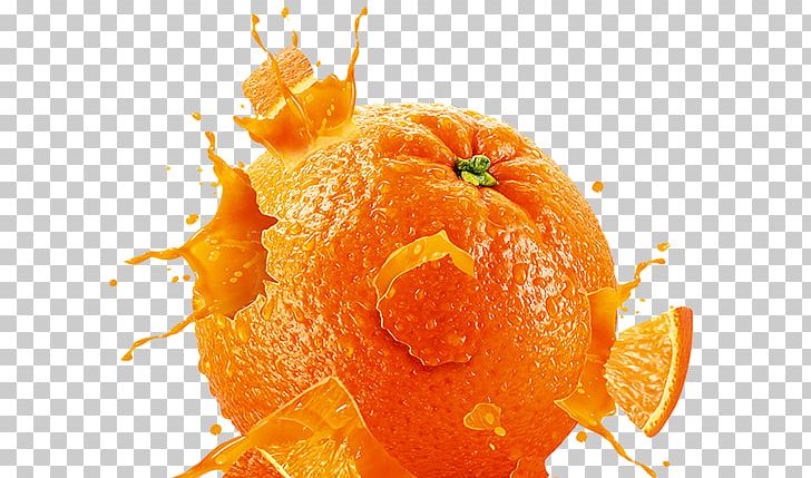 Orange Computer Icons PNG, Clipart, 2 D 3 D, Bitter Orange, Chenpi, Citrus, Clementine Free PNG Download