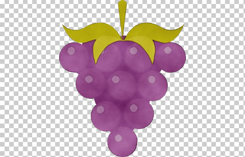 Grape Purple Violet Grapevine Family Vitis PNG, Clipart, Fruit, Grape, Grapevine Family, Magenta, Paint Free PNG Download