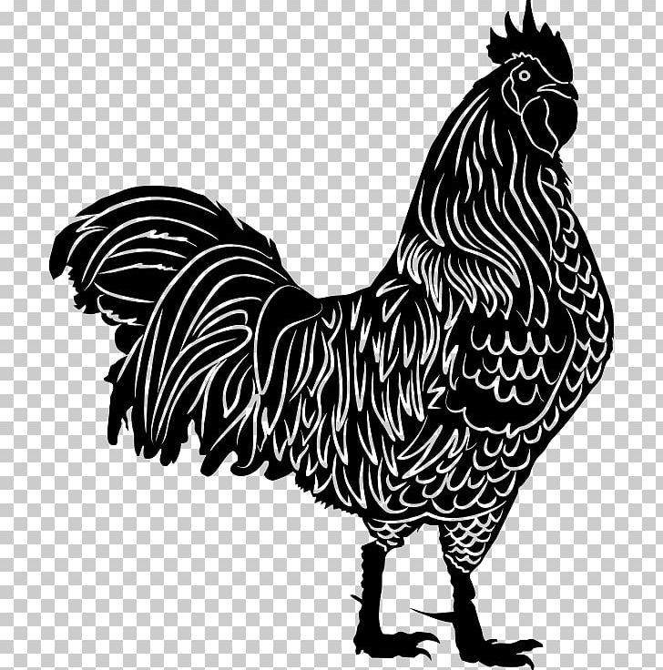 Chicken Rooster Silhouette PNG, Clipart, Animals, Beak, Bird, Black And White, Chicken Free PNG Download