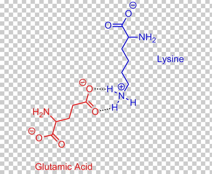 Salt Bridge Glutamic Acid Lysine Acid Salt PNG, Clipart, Acid, Acid Salt, Amino, Amino Acid, Amino Acids Free PNG Download